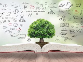 How Education Systems Around the World Are Embracing Sustainability