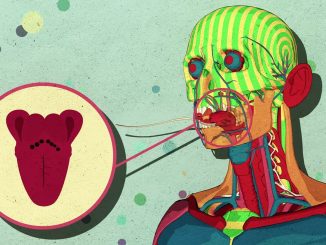 How Sugar Affects Your Body (and Brain)