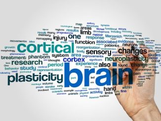 How to Protect Your Business Idea Legally