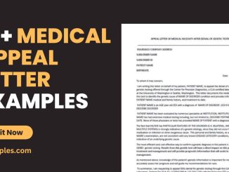 How to File a Successful Insurance Appeal