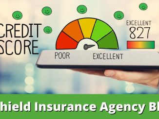 Can Insurance Improve Your Credit Score?