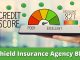 Can Insurance Improve Your Credit Score?