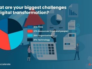 How Insurance Shapes Digital Confidence