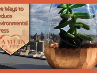 Designing a Stress-Reducing Environment